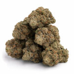 Chunky Monkey Kush Strain