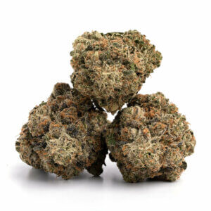 Chunky Monkey Kush Strain