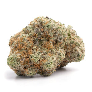 Crescendo weed Strain