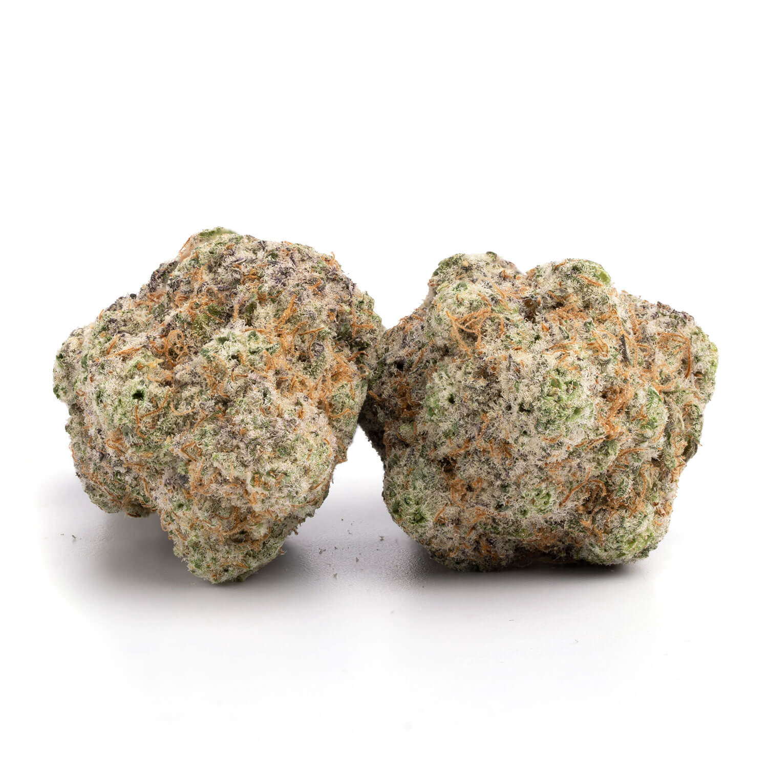 Crescendo weed Strain