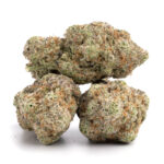 Crescendo weed Strain