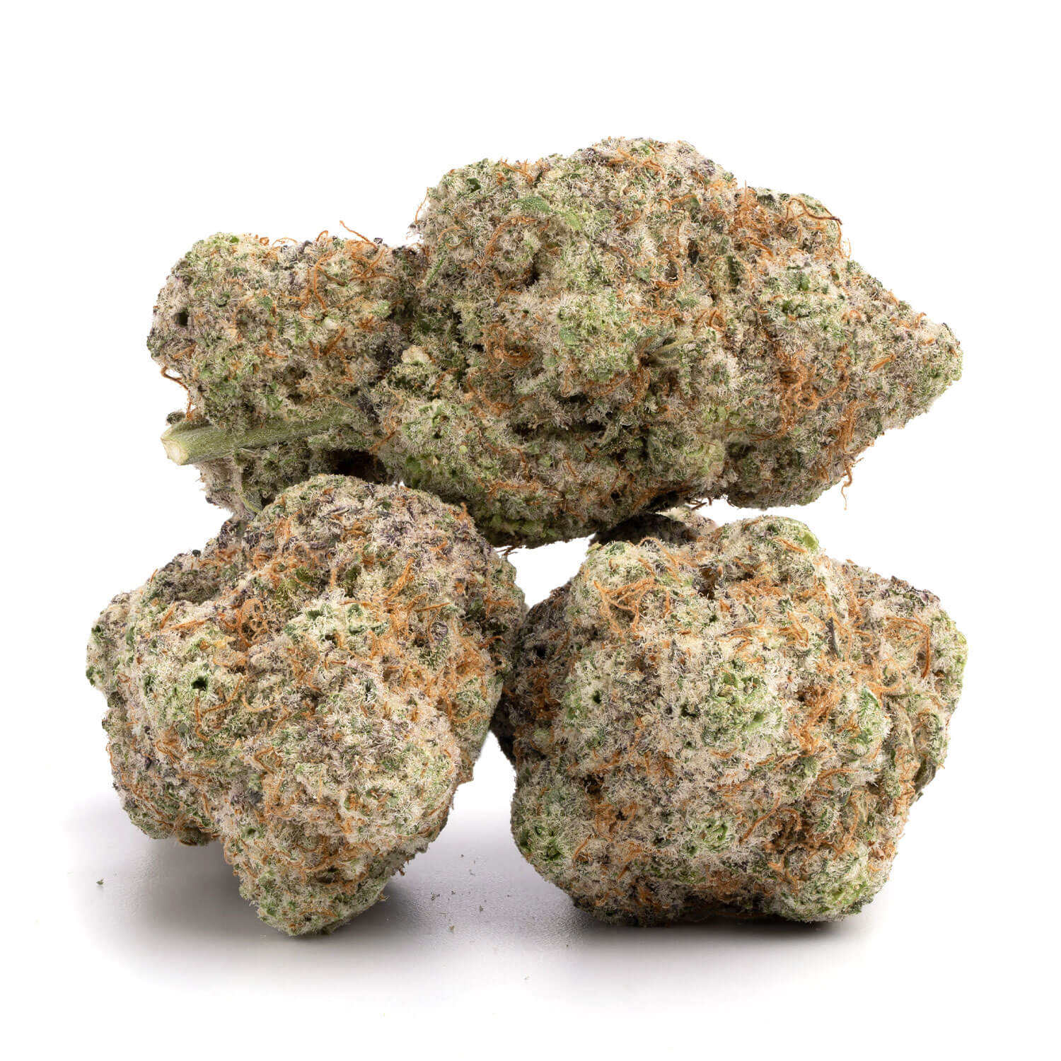 Crescendo weed Strain