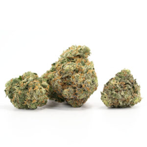 Critical Kush Strain