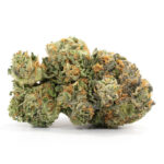 Critical Kush Strain AA cannabis flower with frosty trichomes