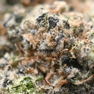 Donkey Butter Popcorn Strain