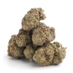 Double Stuffed Sorbet Strain