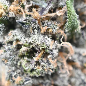 Layer Cake Popcorn Strain