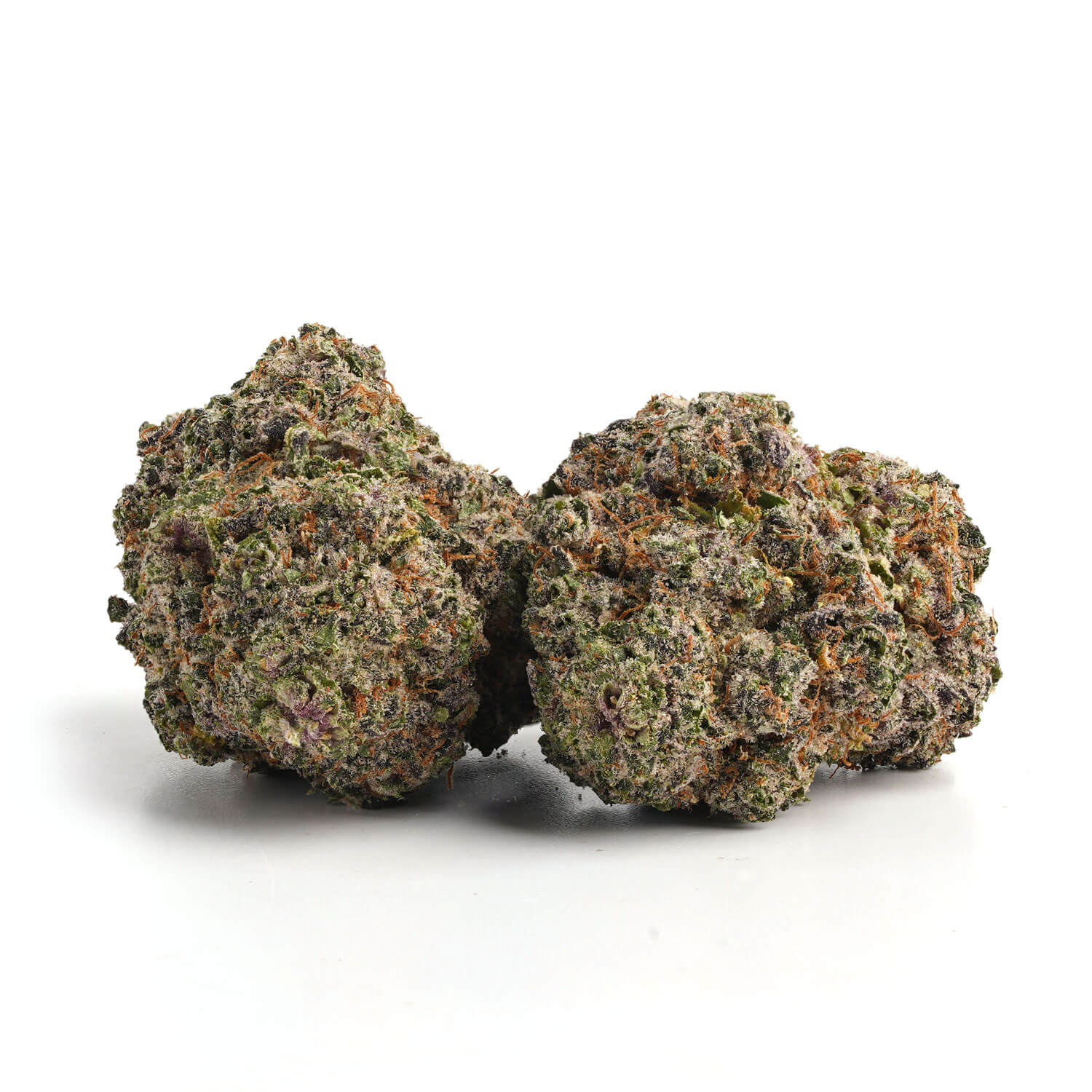 Mango Sherbet Strain