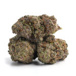 Mango Sherbet Strain