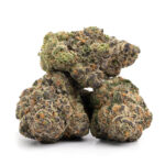 Mimosa weed Strain