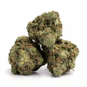 Notorious THC Strain