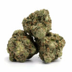 Notorious THC Strain