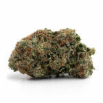 Pine Tar Kush Strain