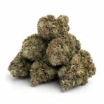 Pine Tar Kush Strain