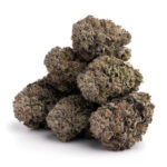 Purple Biscotti Strain