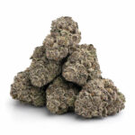 Sangria Slushie Strain