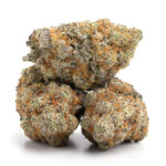 Strawberry Mochi Strain