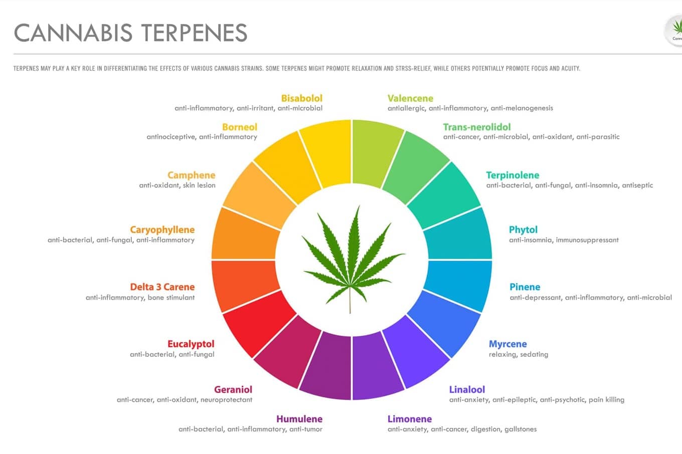 Top cannabis terpenes chart image