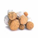 Avalanche Magic Mushrooms