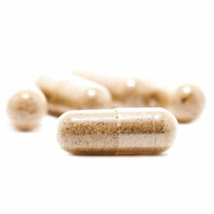 Cambodian Cubensis Capsules
