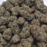 candyland strain AA cannabis flower in bulk container