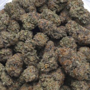 candyland strain AA cannabis flower in bulk container