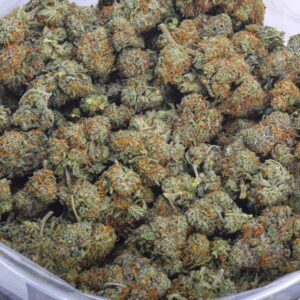 Cindy White Strain AAAA cannabis flower BC Canada premium weed dense trichomes