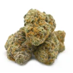 Fruit Punch Strain