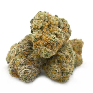 Fruit Punch Strain
