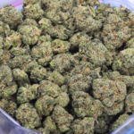 Green Crack strain AAAA premium cannabis flower Canada dense frosty buds high THC