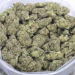 hawaiian snow strain 3a