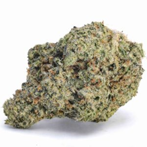 hawaiian snow Strain AAAA cannabis flower in bulk container