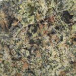 Macro close-up of Hawaiian Snow strain AAAA cannabis flower with frosty trichomes