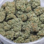 Memory Loss BBAAA cannabis flower in bulk container