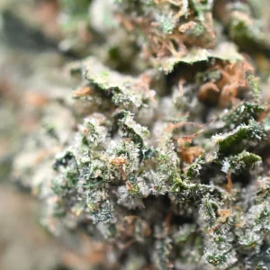 Pink Kush strain aaa