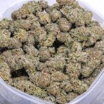 Platinum Haze strain AAA cannabis flower in bulk container