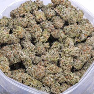 Platinum Haze strain AAA cannabis flower in bulk container