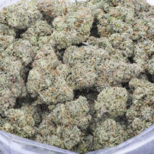 sherbanger strain Craft Farms AAAA cannabis flower in bulk container