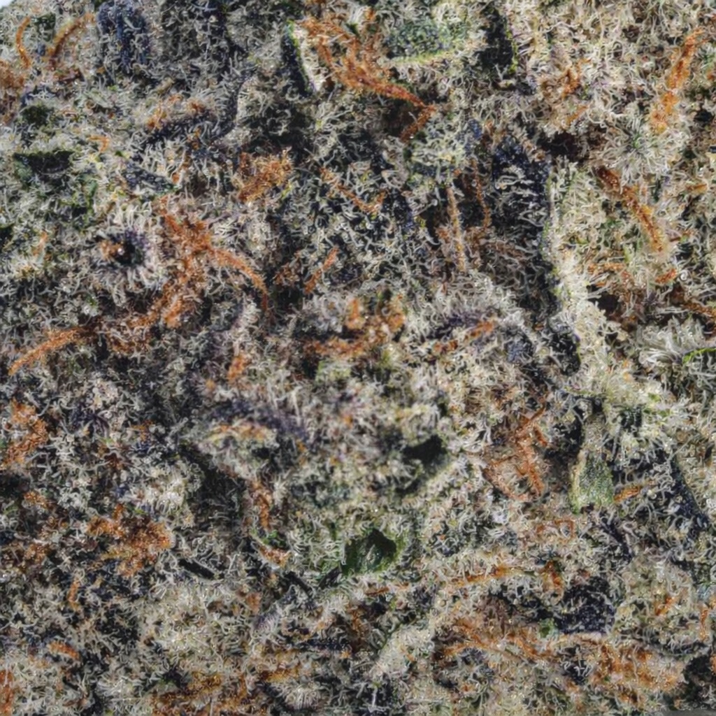 Tropicana Cherry Nelson Strain Farm Craft AAAA cannabis flower in bulk container