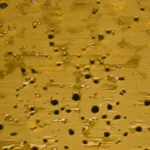 Lit Extracts Black Tuna Shatter