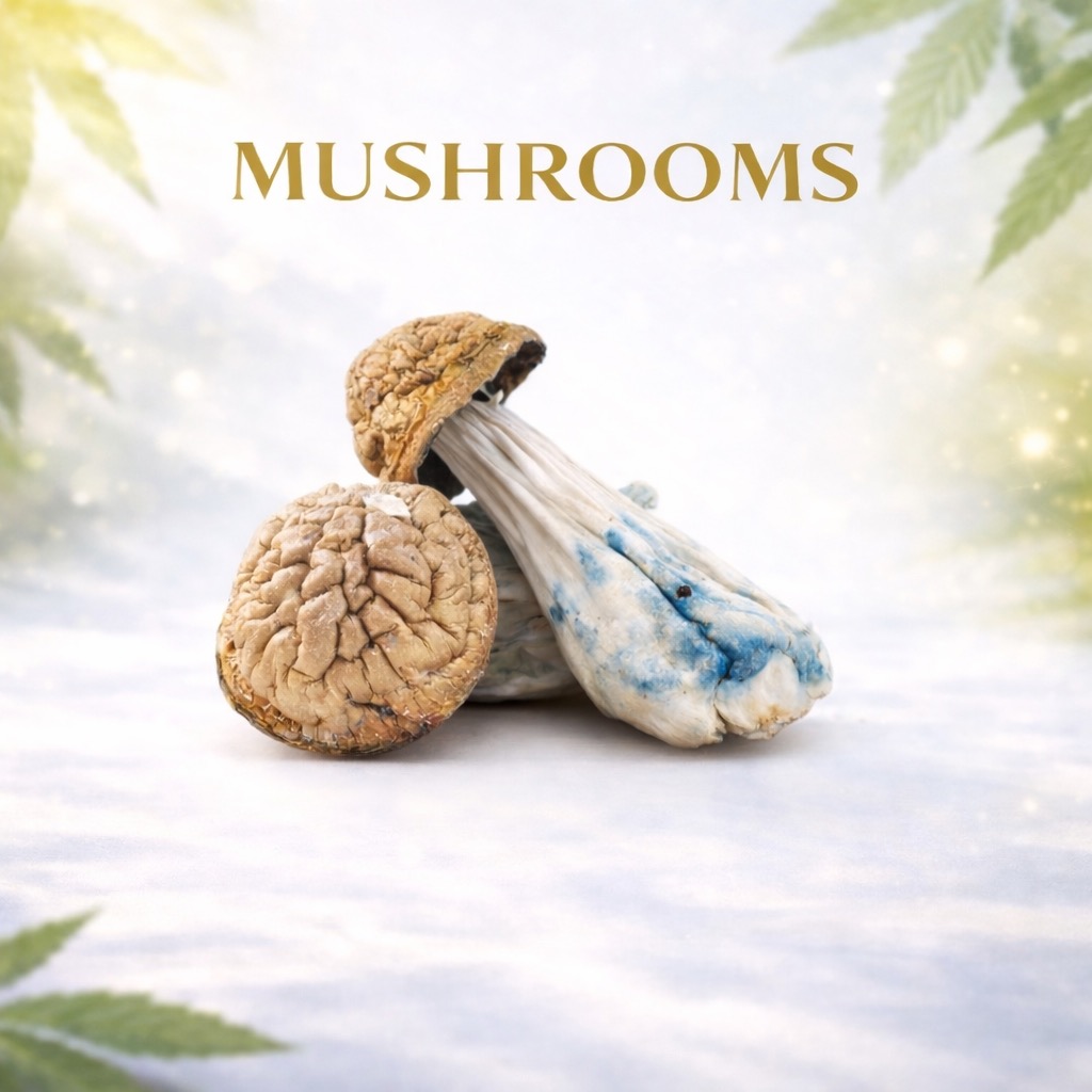 buy magic mushrooms online canada
