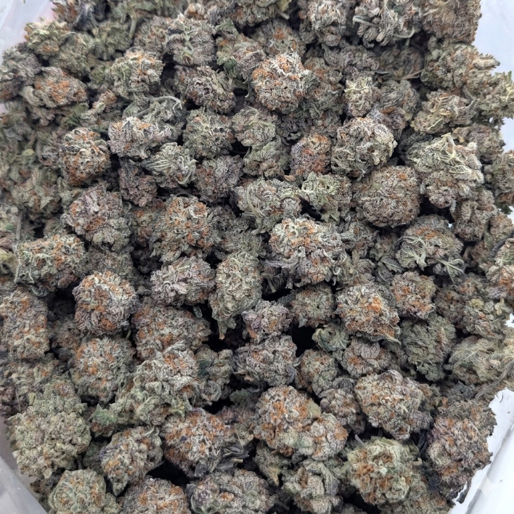Gorilla Glue #5 Popcorn weed